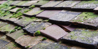 Wern Y Wylan roof repair costs